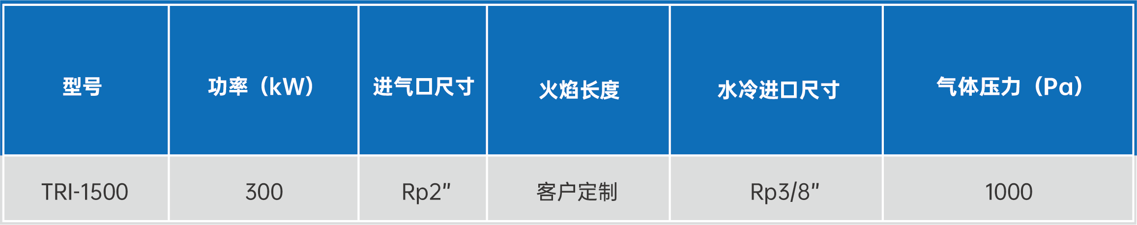 TRI天然气线性燃烧器